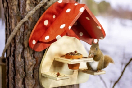 Eichhörnchen an Futterhaus